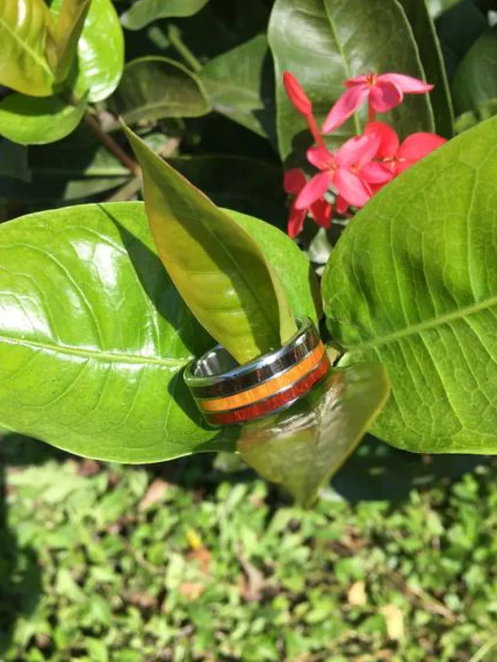 Big Kahuna Ring With Three Woods