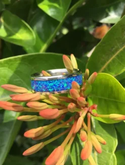 Black Lab Opal Titanium Ring