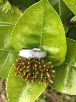 White Pearl Hawaii Titanium Ring